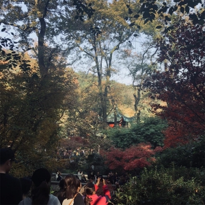 pg电子2018冬日岳麓山爬山活动